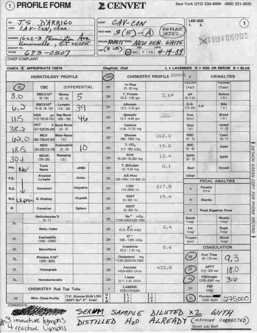 Rabbit Blood Test page 1